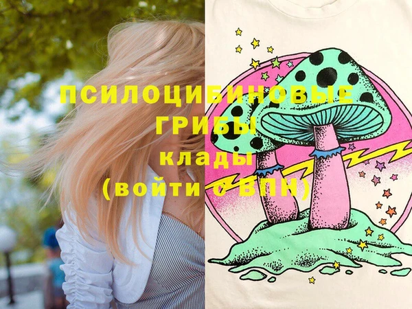 дурь Армянск