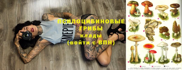 дурь Армянск