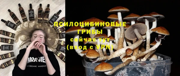 дурь Армянск