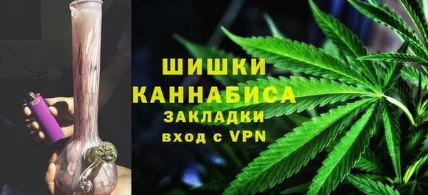 ПСИЛОЦИБИНОВЫЕ ГРИБЫ Семёнов
