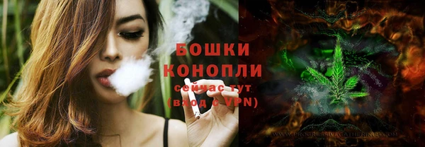 сатива Арсеньев