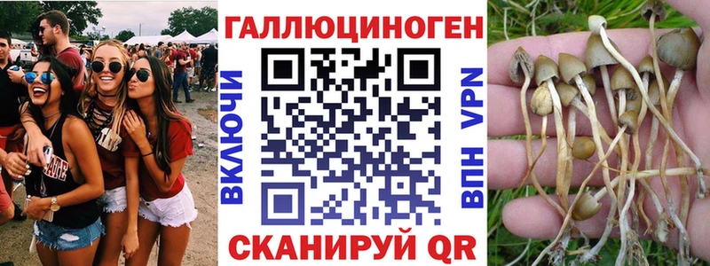 даркнет сайт  Тавда  Псилоцибиновые грибы Psilocybine cubensis 