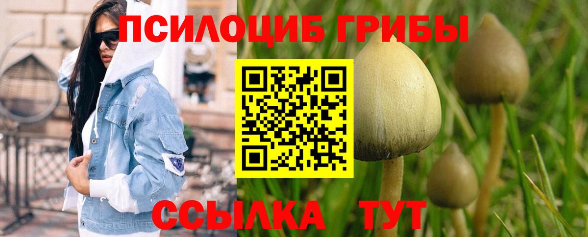 Тавда  купить  сайты  Вход с VPN  Галлюциногенные грибы GOLDEN TEACHER 